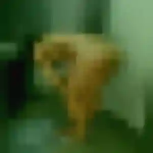 Photo de Ablavi à Achenheim (38 ans) - plan cul discret