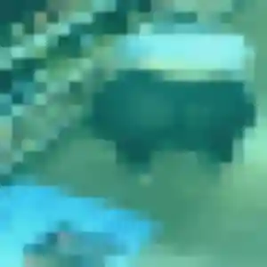 Photo de Adja à Acheville (33 ans) - plan cul anonyme