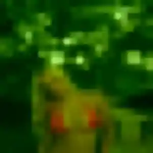 Mireille, 42 ans, en ligne à Agde pour une rencontre coquine