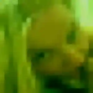 Photo de Eugénie à Alexain (33 ans) - plan cul anonyme