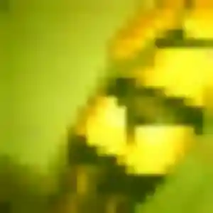 Sexy Evelyne, 26 ans à Alleins - la contacter
