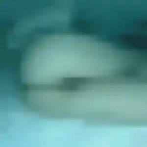 Rébecca, 35 ans, cherche un plan cul à Alsting