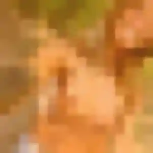 Photo privée de Arame, 38 ans à Altkirch - plan discret