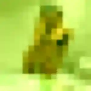 Photo perso de Laura, 32 ans à Alvignac - plan discret