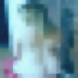 Photo de Hadija à Alvimare (32 ans) - plan cul anonyme