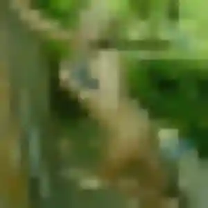 Photo privée de Anaïs, 24 ans à Alzonne - rencontre coquine