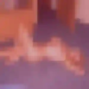 Photo de Ophélie à Ampus (42 ans) - plan cul discret
