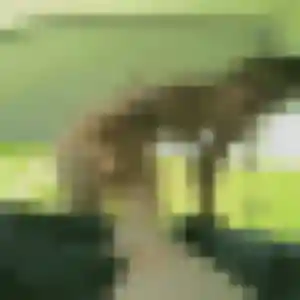 Félicité de Anjou, 33 ans - plan cul discret