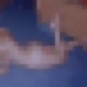 Sarjo, 27 ans, cherche un plan cul à Annoisin-Chatelans