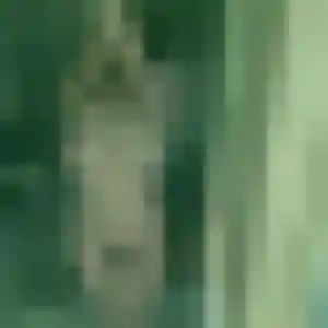 Photo privée de Adjoua, 36 ans à Araules - rencontre sans lendemain