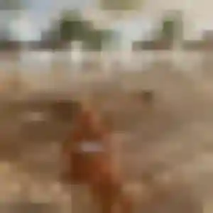 Photo perso de Kafui, 42 ans à Arbanats - rencontre coquine