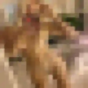 Jumoke, femme de 23 ans cherche plan cul à Attiches