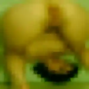 Photo privée de Peace, 31 ans à Aunay-sous-Auneau - rencontre coquine