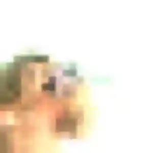 Photo privée de Nicole, 42 ans à Aux Marais - rencontre sans lendemain