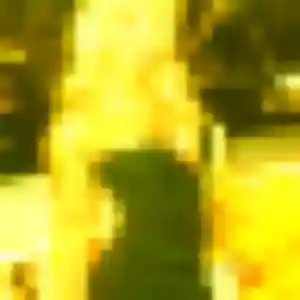 Photo privée de Prisca, 38 ans à Auzon - plan discret