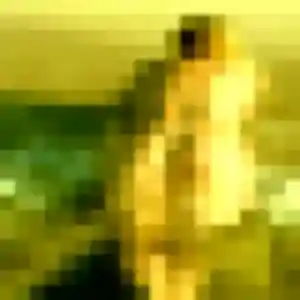 Photo privée de Wendy, 42 ans à Avesnelles - rencontre coquine