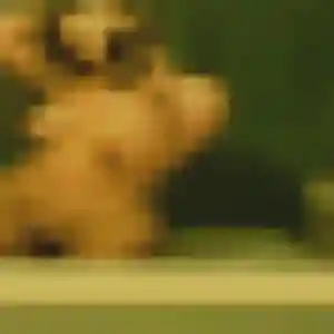 Tanoh, 38 ans, en ligne à Baccarat pour une rencontre coquine