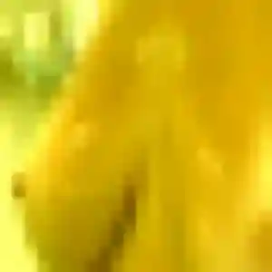 Prisca (32 ans) à Ban-sur-Meurthe-Clefcy cherche un plan cul rapidement