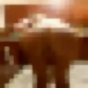 Profil de Gwenaëlle à Barcelonne-du-Gers (38 ans) - plan cul anonyme
