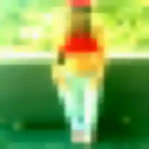 Latifa (38 ans) à Barentin cherche un plan cul maintenant