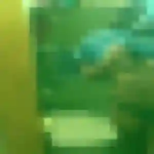 Photo exclusive de Oulimata, 37 ans à Barret - rencontre coquine