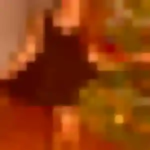 Photo exclusive de Paulette, 25 ans à Bastelicaccia - rencontre sans lendemain