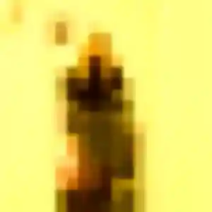 Profil de Touty à Beaucouzé (29 ans) - plan cul anonyme