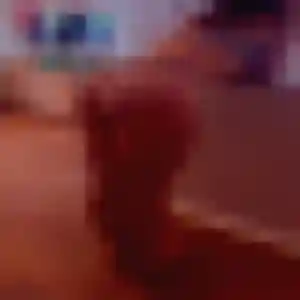Deborah, fille de 30 ans cherche plan cul à Beauquesne