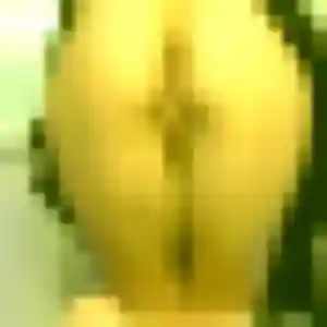 Photo de Jamila à Benais (45 ans) - plan cul discret