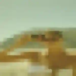 Photo exclusive de Oumy, 27 ans à Berck - rencontre sans lendemain