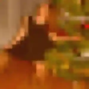 Photo de Bola à Berry-au-Bac (39 ans) - plan cul gratuit