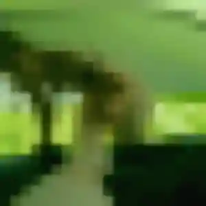 Photo de Félicité à Berry-Bouy (41 ans) - plan cul discret