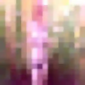 Profil de Jamila à Bessines (24 ans) - plan cul gratuit