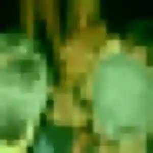 Photo de Olufunmi à Béthencourt (39 ans) - plan cul anonyme