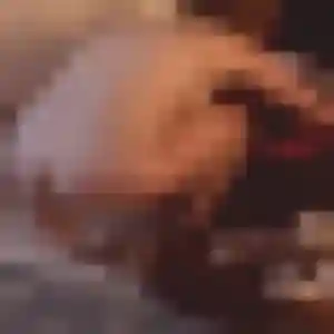 Belle Stéphanie, 26 ans à Beure - voir sa photo
