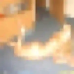Photo exclusive de Sarjo, 25 ans à Blaesheim - rencontre coquine