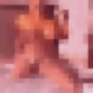 Photo de Carine à Bois-de-Haye (42 ans) - plan cul anonyme