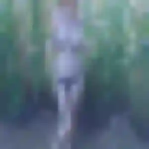 Perpétue, 31 ans, connectée à Boissy-Mauvoisin pour une rencontre coquine