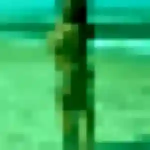 Photo sexy de Ramatoulaye, 31 ans à Boivre-la-Vallée - plan discret