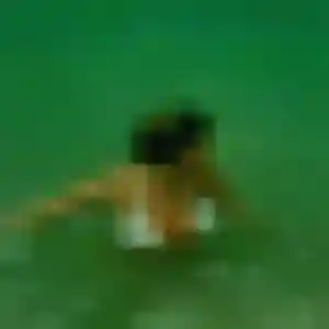 Photo de Fanta à Bombon (36 ans) - plan cul anonyme