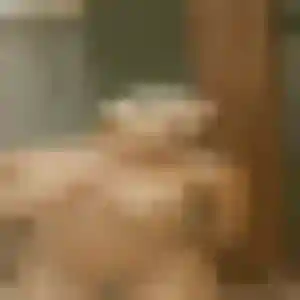 Photo de Madeleine à Bon-Encontre (30 ans) - plan cul gratuit