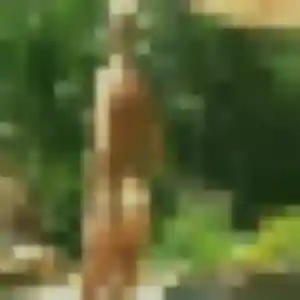 Photo sexy de Coralie, 32 ans à Bouchemaine - rencontre sans lendemain