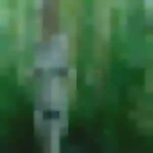 Stacy, 38 ans, dispo pour plan cul à Bougligny