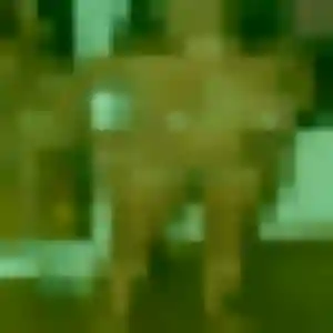 Photo exclusive de Aïcha, 27 ans à Breistroff-la-Grande - plan discret