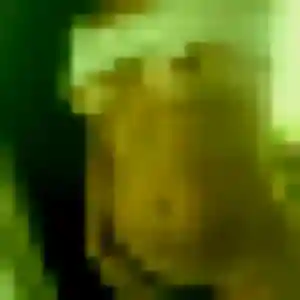 Élise, 45 ans, cherche un plan cul à Bretoncelles