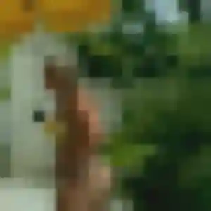 Contacte Jumoke, 43 ans à Brignon en t'inscrivant