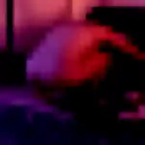Photo privée de Stéphanie, 35 ans à Brosville - rencontre sans lendemain