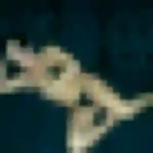 Ludivine de Brouckerque, 36 ans - plan cul discret
