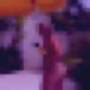 Photo de Chancelle à Brûlon (28 ans) - plan cul anonyme