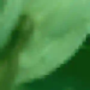 Ketty, femme de 40 ans cherche plan cul à Bruniquel